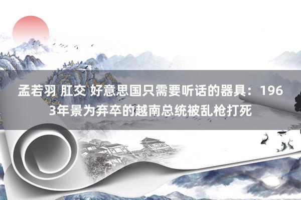 孟若羽 肛交 好意思国只需要听话的器具：1963年景为弃卒的越南总统被乱枪打死