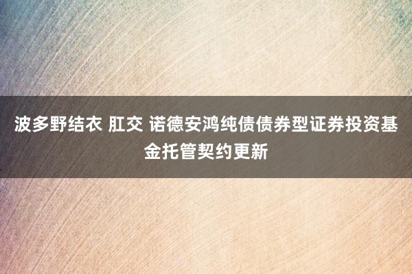 波多野结衣 肛交 诺德安鸿纯债债券型证券投资基金托管契约更新